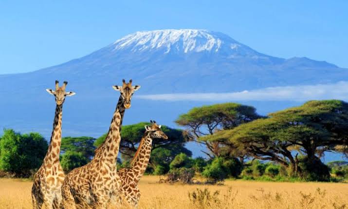 Kenya visa information