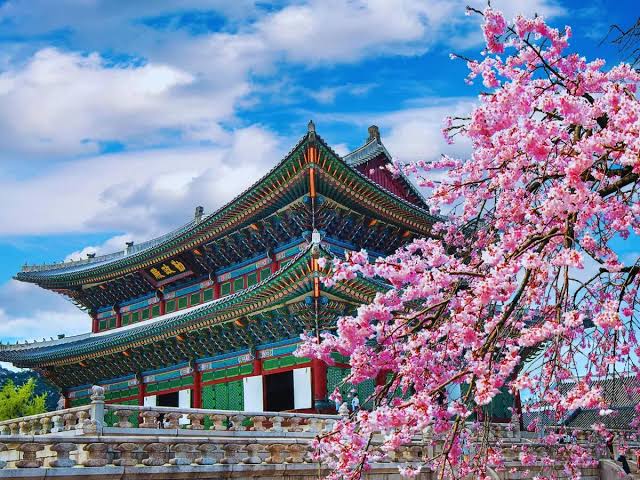 South Korea visa application assistance