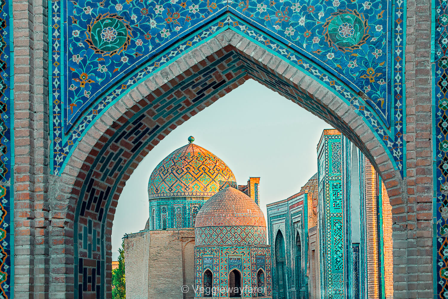 Uzbekistan visa application assistance